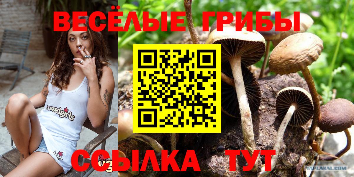 Галлюциногенные грибы ЛСД  Псилоцибиновые грибы прущие грибы  Вход с VPN  Можга 